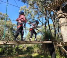 Treetops Adventure, Yanchep National Park