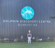 Dolphin Discovery Centre, Bunbury