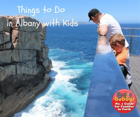 Things to Do in Albany with Kids
