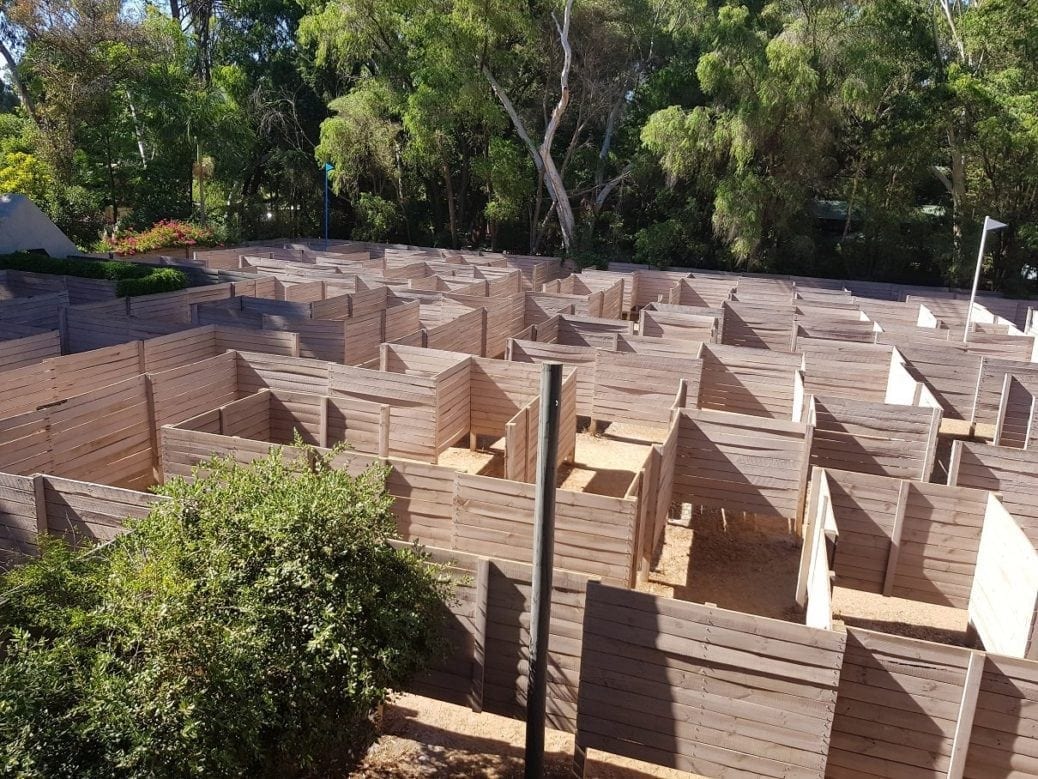 The Best Mazes in Perth and WA Buggybuddys guide to Perth