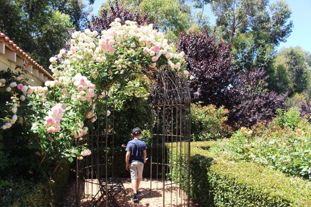 Masonmill Gardens, Carmel