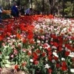 Araluen Botanical Park, Roleystone