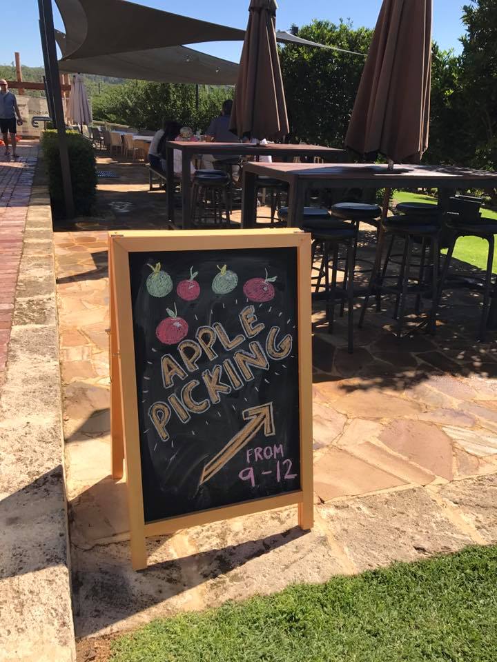 Apple Picking at Core Cider House, Pickering Brook