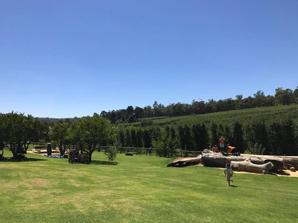 Apple Picking Core Cider House