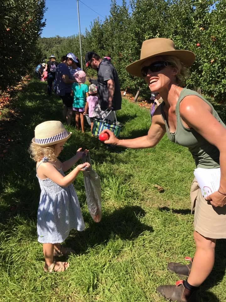 Apple Picking Core Cider House