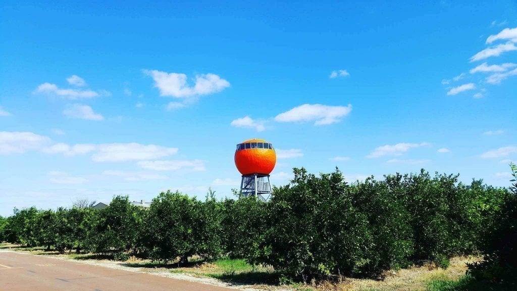 The Big Orange, Harvey