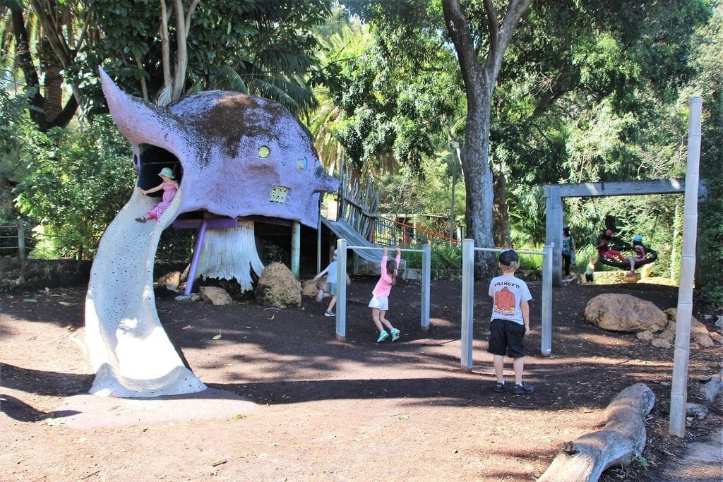 14 Things You Didn't Know You Could Do at Perth Zoo
