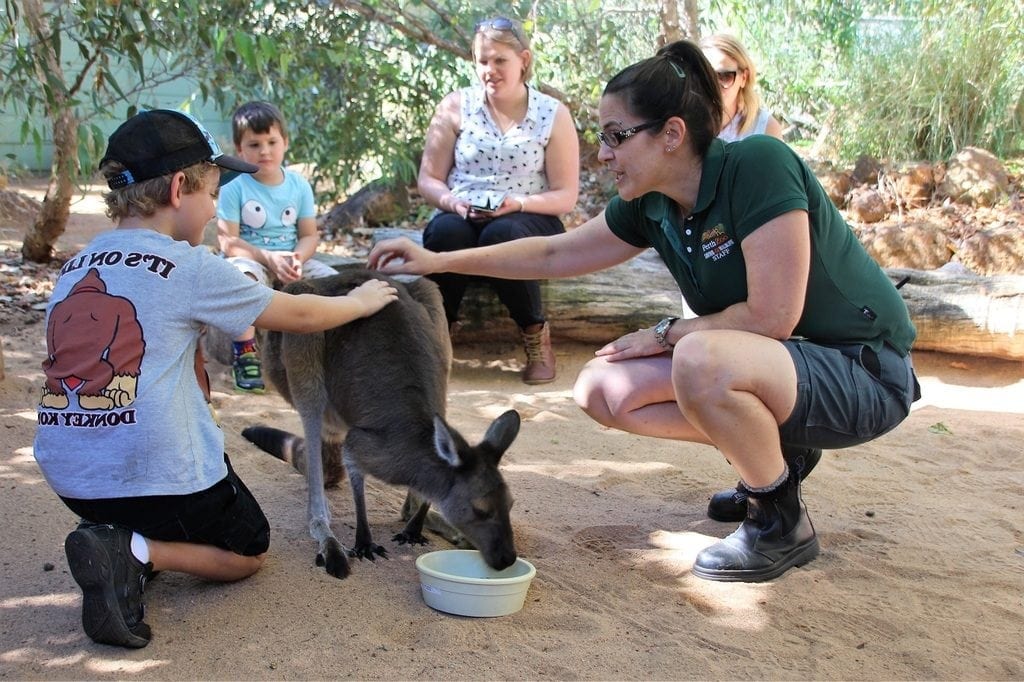 Perth Zoo