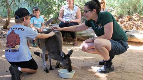 Close Encounters Perth Zoo