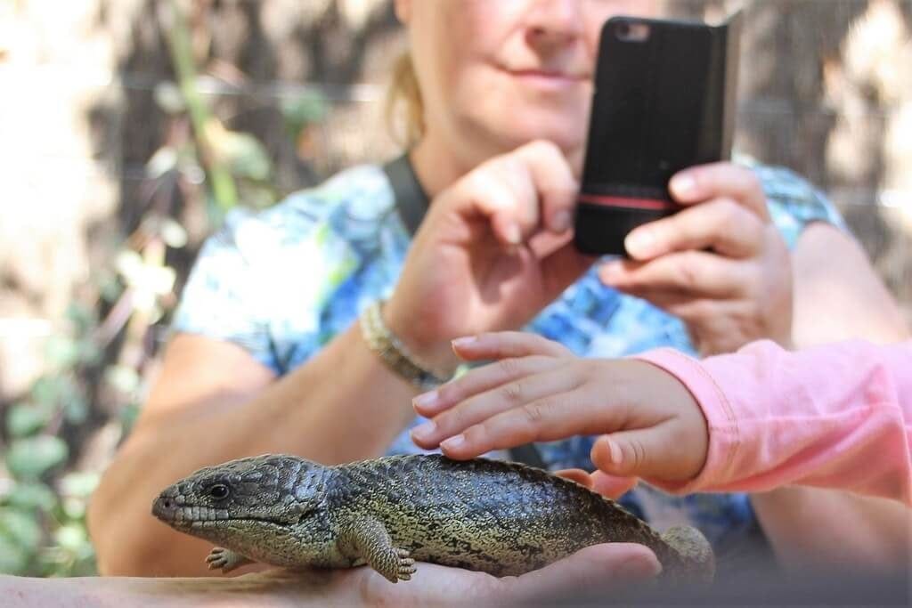 Close Encounters Perth Zoo