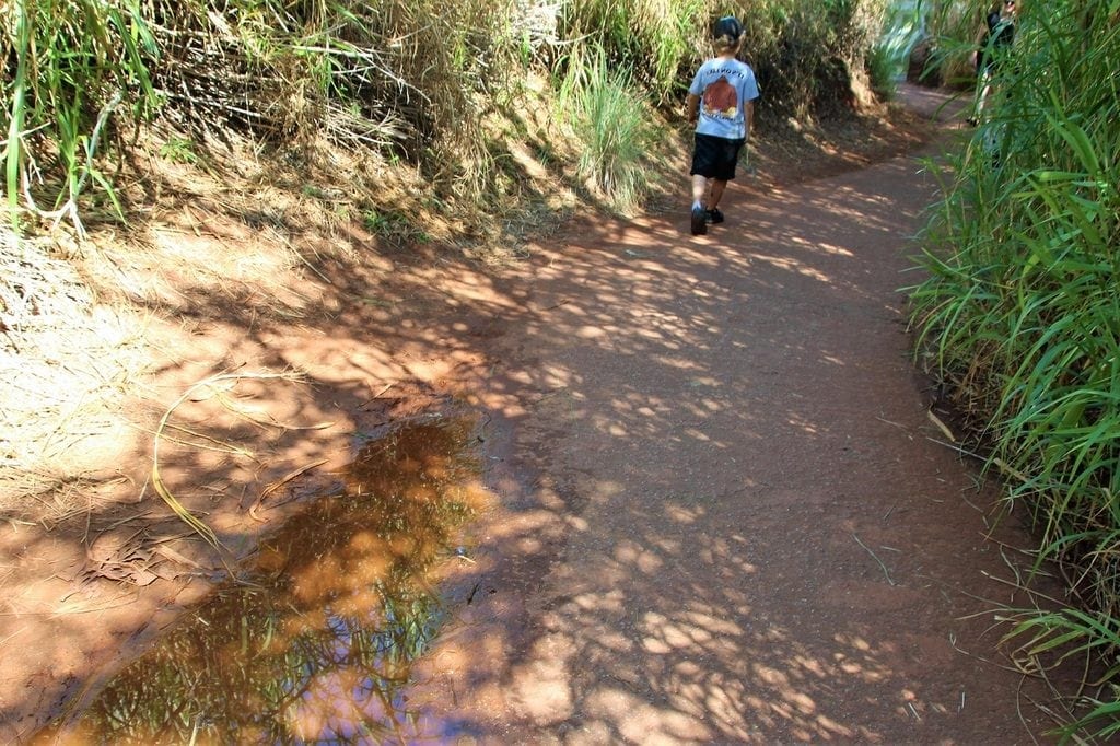 14 Things You Didn't Know You Could Do at Perth Zoo