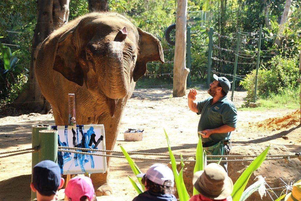 14 Things You Didn't Know You Could Do at Perth Zoo