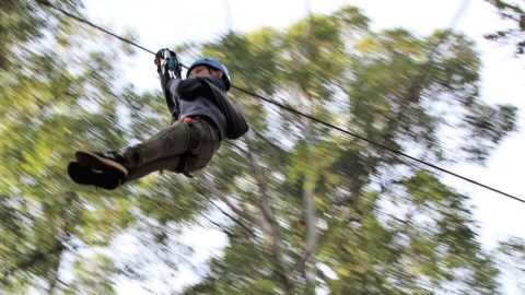 Trees Adventure Dwellingup