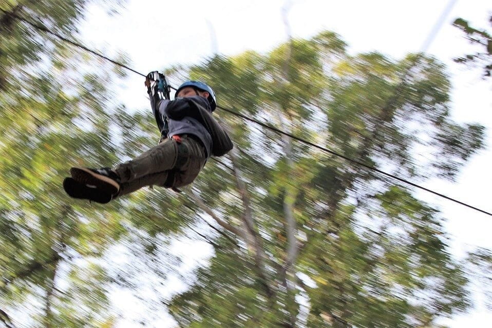 Trees Adventure Dwellingup