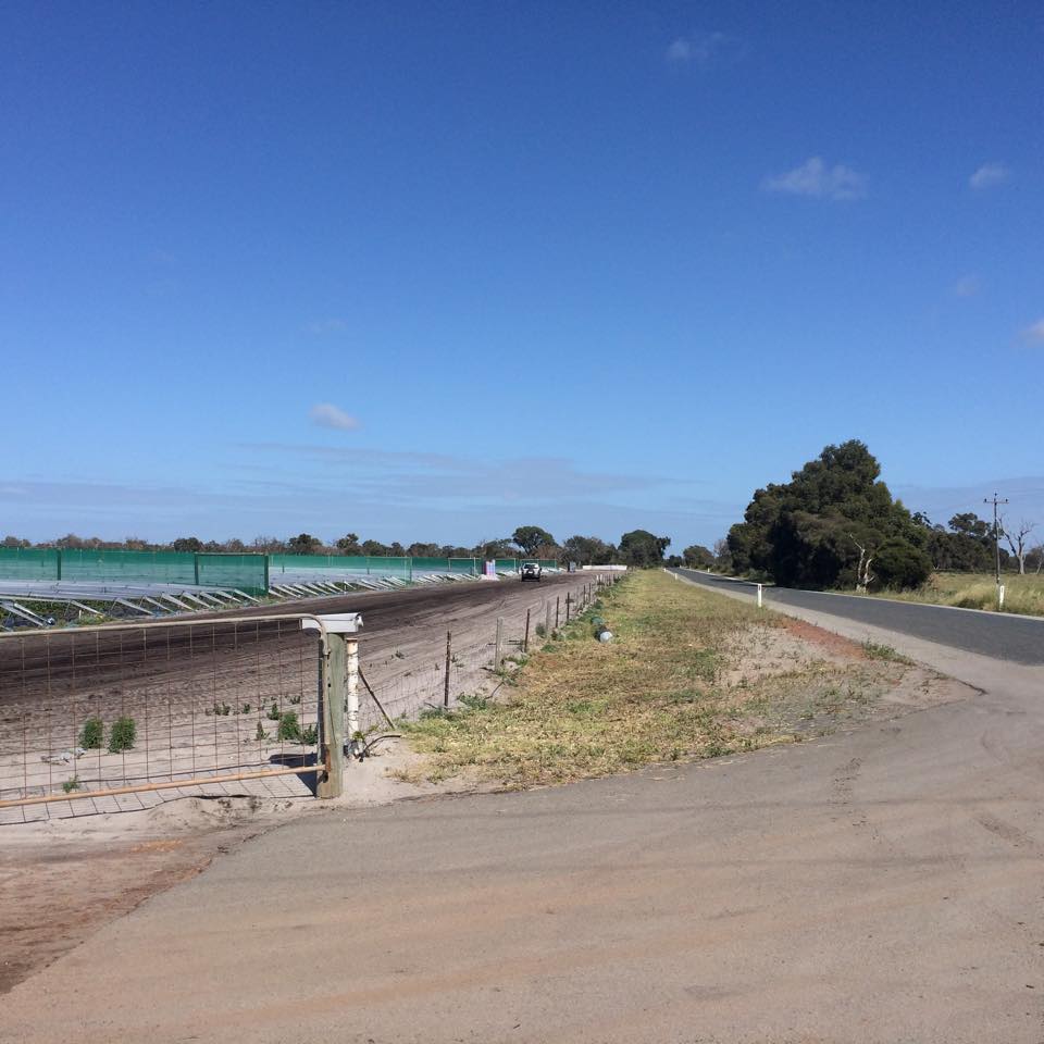 Strawberry Farm Bullsbrook