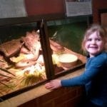 Armadale Reptile Centre