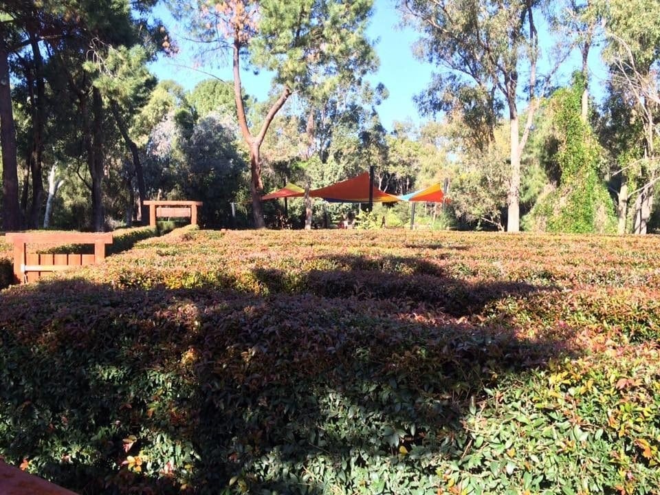 The Hedge Maze at Perth's Outback Splash, Bullsbrook