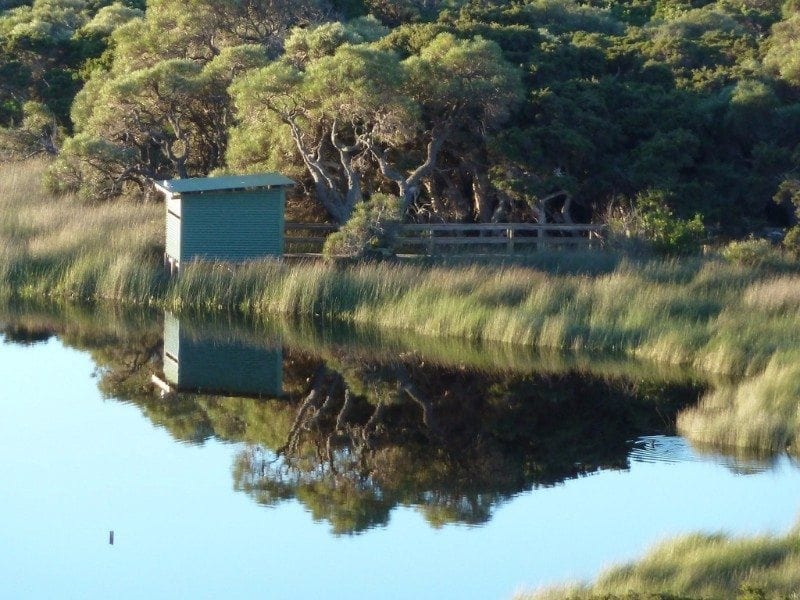 Lake Vancouver Bird Hide