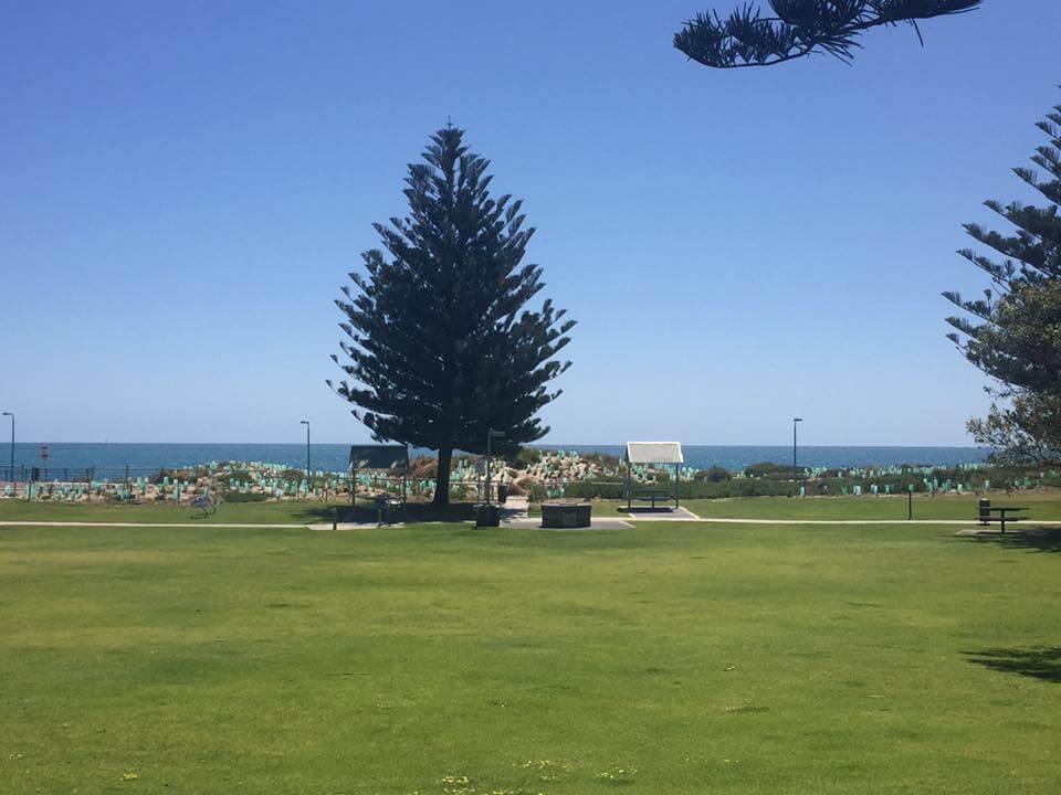 Clarko Reserve, Trigg