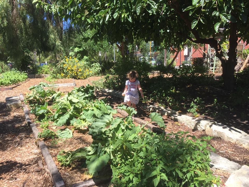 Perth City Farm Cafe, East Perth