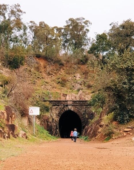 John Forrest National Park