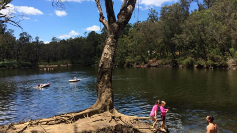 Lane Poole Reserve Dwellingup