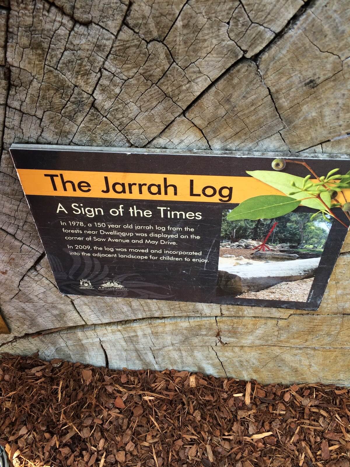 Variety Place Playground, Kings Park Buggybuddys guide for families