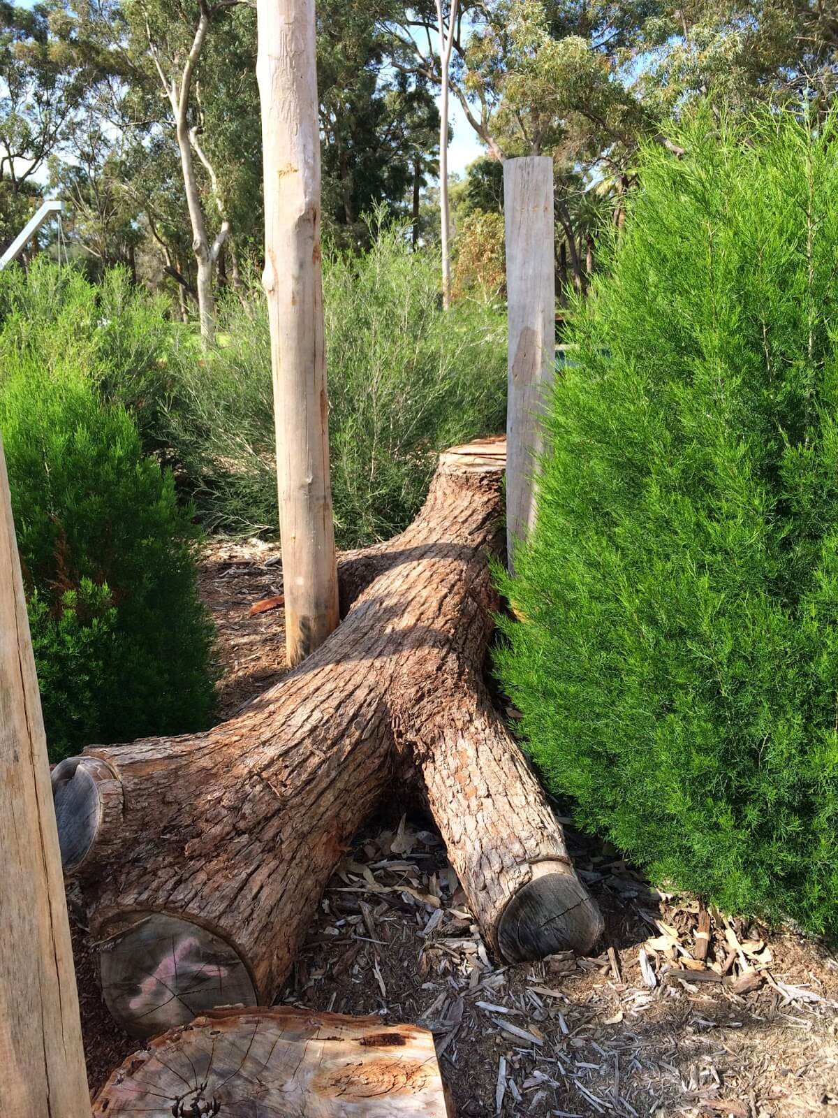 Variety Place Playground, Kings Park Buggybuddys guide for families