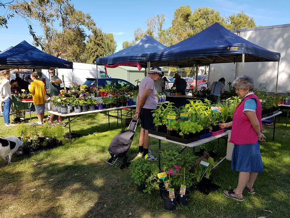 Manning Farmers Market