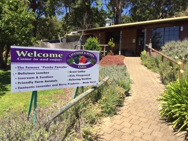 Lavender And Berry Farm Pemberton Buggybuddys Guide To Perth