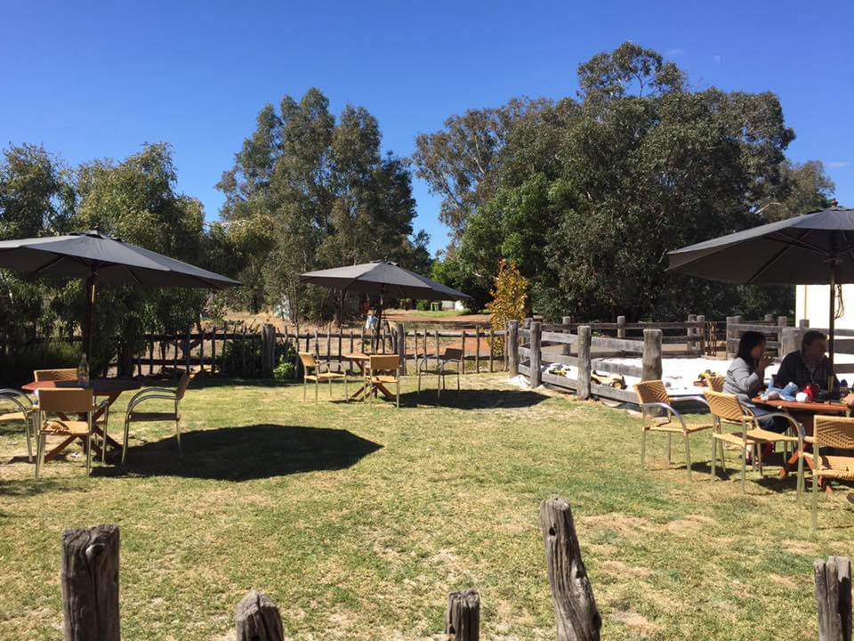 Williams Woolshed, Williams