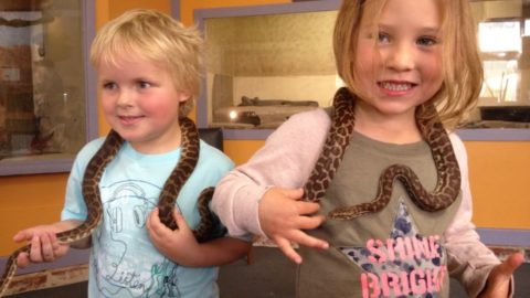 WA Reptile Park