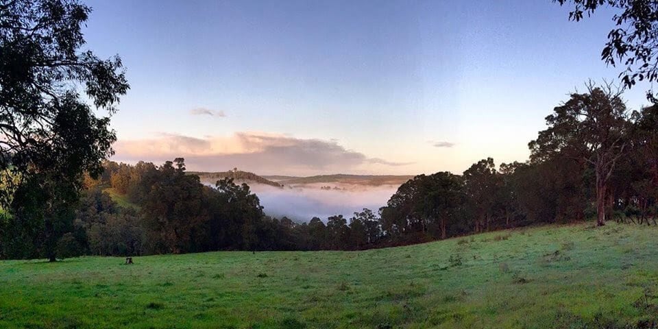 Balingup Heights Hilltop Forest Cottages