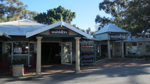 Lakeview Café Waldecks, Kingsley