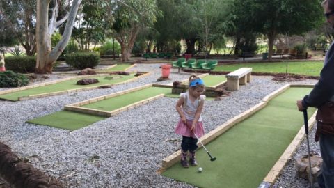 Caladenia Mini Golf