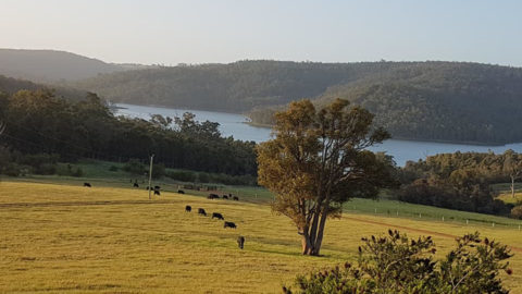 Bluehills Farmstay, Harvey