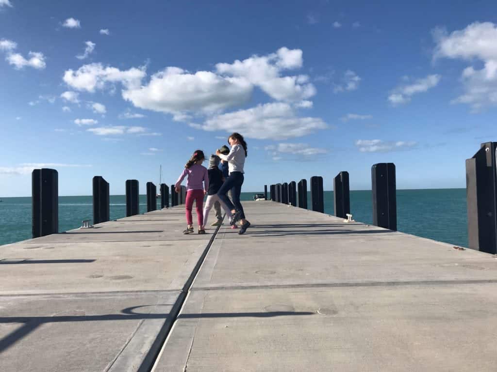 Perfect Nature Cruises Monkey Mia Marine Life Cruise Buggybuddys guide to Perth