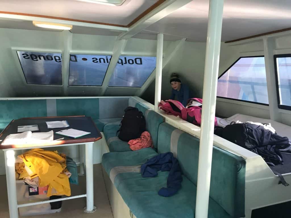 Perfect Nature Cruises Monkey Mia Marine Life Cruise Buggybuddys guide to Perth