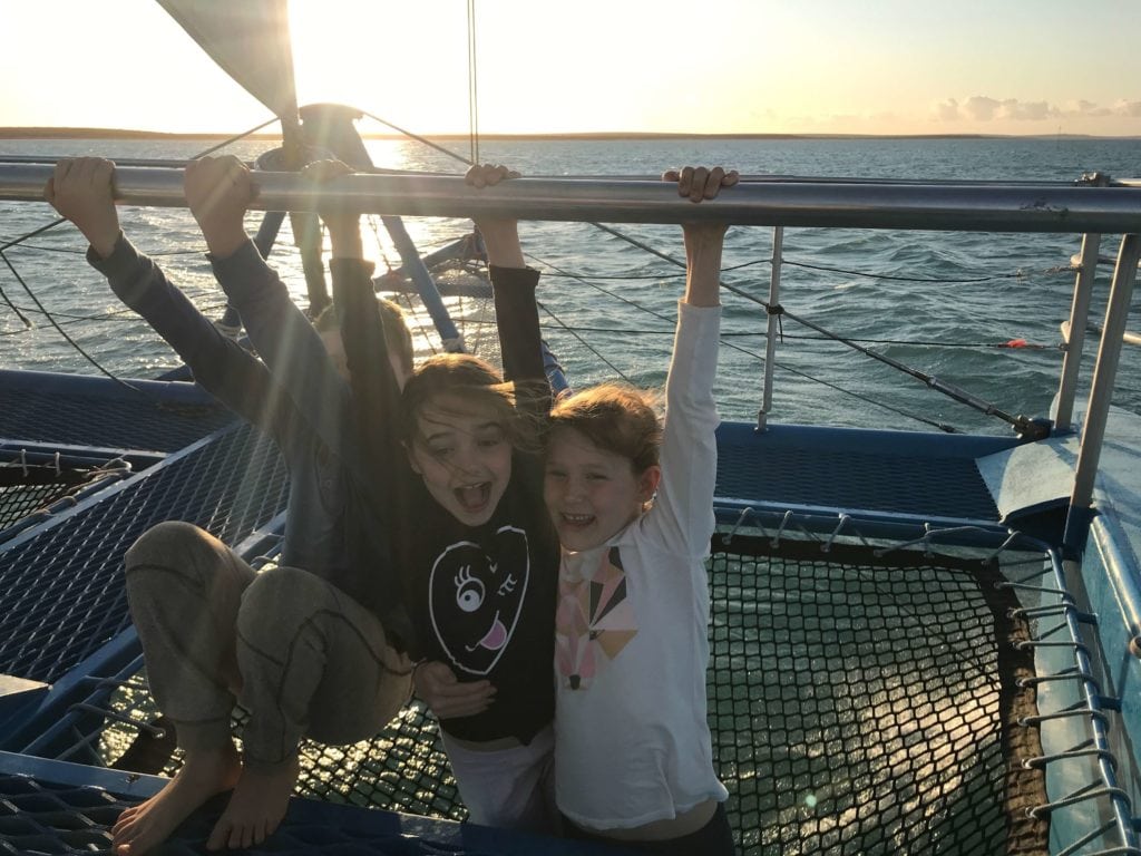 Perfect Nature Cruises Monkey Mia Marine Life Cruise Buggybuddys guide to Perth