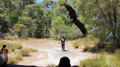 Eagles Heritage, Margaret River