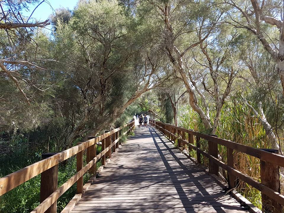 Canning River Regional Park, Kent Street Weir