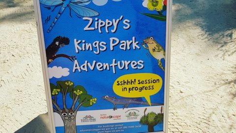 Zippy's Kings Park Adventures