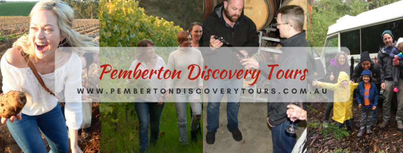 discovery tours pemberton