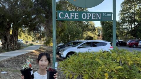 Dawson’s Garden World Forrestfield