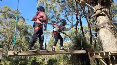 Treetop Adventures Yanchep