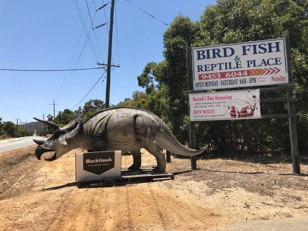 Bird and reptile outlet store