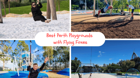 Best Playgrounds for Flying Fox Fun in Perth
