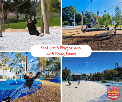 Best Playgrounds for Flying Fox Fun in Perth