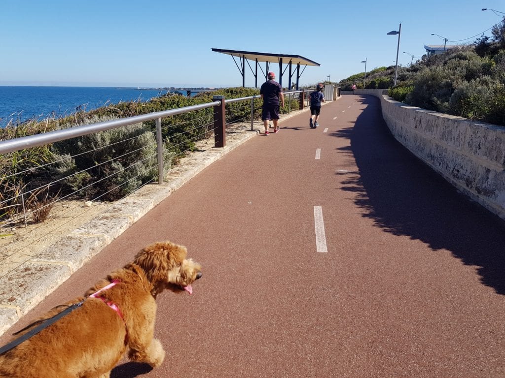 West Coast Drive Coastal Walk