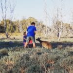 Heirisson Island, Perth
